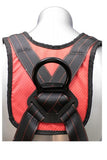 Elk River Raven Tower RAS Harness